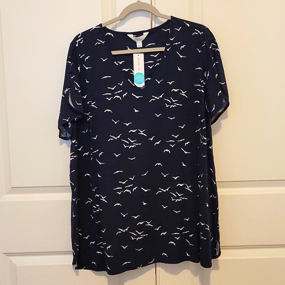 Market & Spruce blouse 2x